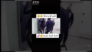 طيط طيط ماشينة /tok tok bn هههه تموت بدضحك