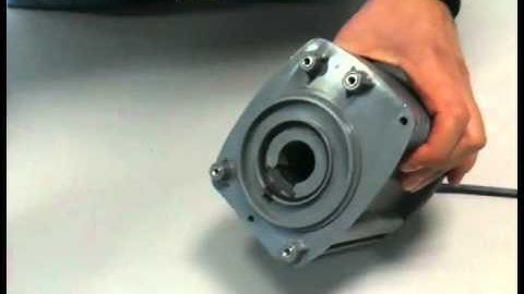 Syncra_HF_bearing_replacement. Sicce