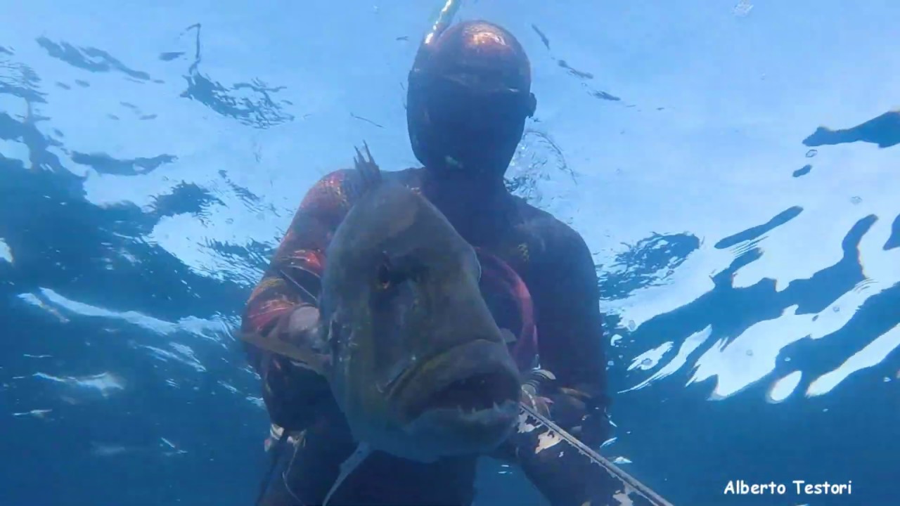 Italian Spearfishing - Team S-life Best of 2019