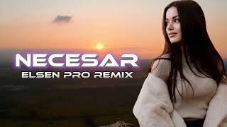 Necesar  Remix Elsen Pro