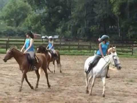 Quadrille Camp 2010 - The Mane Event