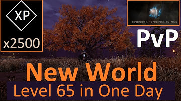 How to get Level 65 on New World PvP Server - Guide to Maximum Level in Just One Day Cutting Trees