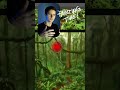 How to paint a JUNGLE - Concept Art Tutorial - step by step #tutorial #conceptart #digitalpainting