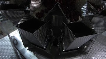 PL 280ZLD ten heads weigher for beef jerky packaging machine