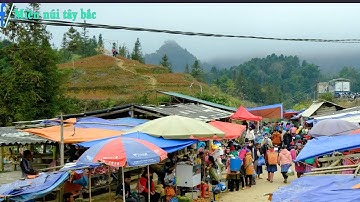 Chợ Phiên Pha Long Chợ Phiên Biên Giới Bán Toàn Đặc Sản Tây Bắc | Miền núi tây bắc