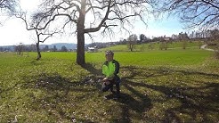 Radtour im Schwarzwald zur Krokusblüte  nach Bad Teinach-Zavelstein