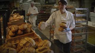 Harmons Grocery Stores - Breadwinner :30