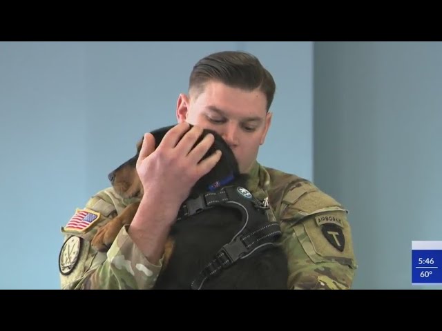 Soldiers Reunited With Dogs They Served With Overseas