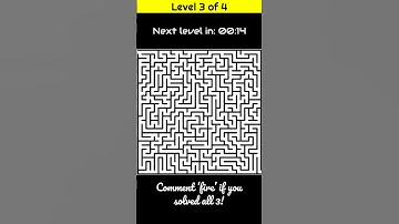 Can You Solve 4 Hard Maze Puzzles in 2 Minutes? 🧠🔥