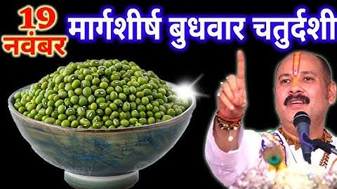 19 नवंबर मार्गशीर्ष बुधवार चतुर्दशी तिथि के दिन 7 हरे मूंग वाला उपाय जरुर करे || Pradeep Ji Mishra 