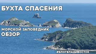 Бухта Спасения, морской заповедник, красота Приморского Края. #БлогВладивосток