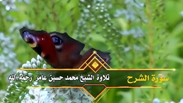 سورة الشرح || الشيخ محمد حسين عامر رحمه الله