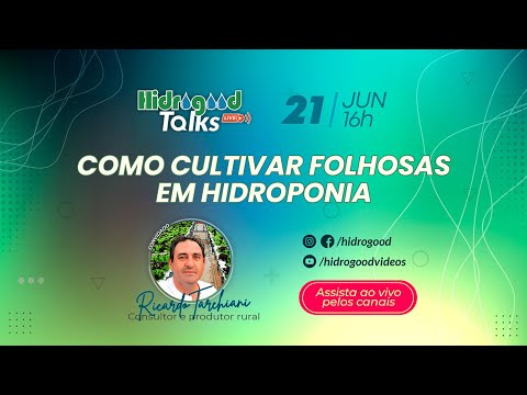 Como cultivar folhosas