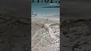 Bus crashes into lake after driver loses control | ABC News