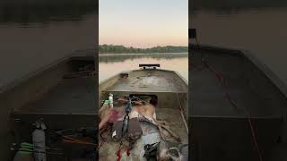 crossbow deer hunt #whitetail #hunting #bowhunting