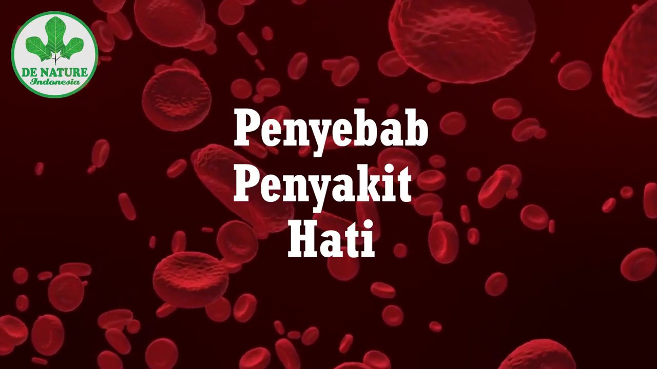 PENYAKIT HATI KRONIS BEGINILAH CARA MENGOBATI PENYAKIT HATI SAMPAI