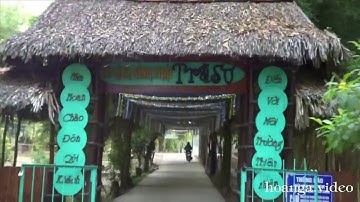 AN GIANG_TẬP 6: RỪNG TRÀM TRÀ SƯ. DU LỊCH VIỆT NAM_Hoàn Nga video