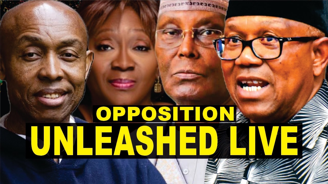 Odinkalu Speaks On What Opposition Should Do To Sack Tinubu In 2027