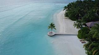 Escape To The Tropical Ocean : Calm Bossa Nova for Stress Relief and Peace of Mind