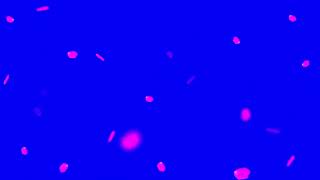Pink Rose Petals Blue Screen Video Effects Satish Designgraphy