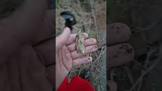 Maybe A Base Maybe Not. Muddy River Bank Find August 2025