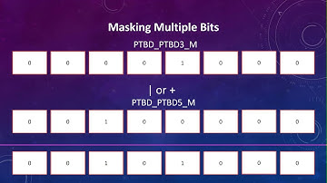 Masking Multiple Bits (S08)