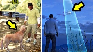 قمت بتتبع الكلب الشبح وحدث هذا في جي تي أي 5 | GTA V The Ghost Dog