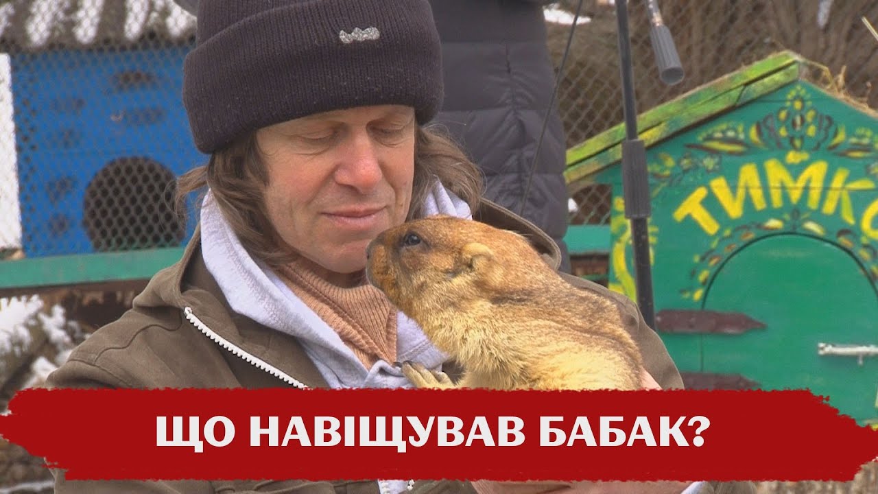 Бабак видео. Бабак видео