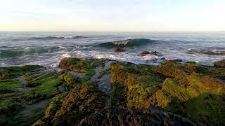 Relax the Whole Day to these Early Morning Low Tide with Relaxing Waves