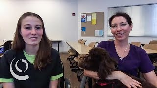Celebrity Veterinary Assistant Profile