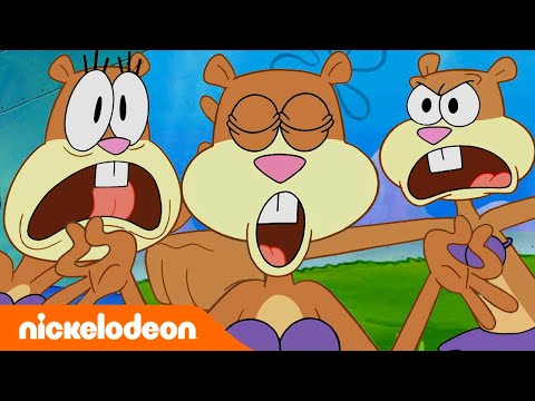 Rokko Siffredi ishtirokidagi porno