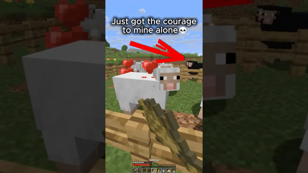 typical mistake 💀