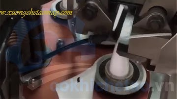 Máy chiết mỹ phẩm dùng cho tuýp nhựa, tuýp nhôm – Máy chiết dầu gội, kem đánh răng, sữa rửa mặt