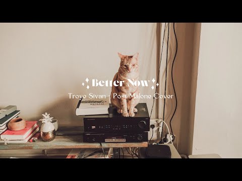 better now // troye sivan (post malone cover) - lyrics ✨🌿