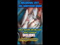 PANG APAT NA LAPT | NAARYAHAN NAMIN ANG SPOT NG MGA SAGISI OR BILUAN #kitangfishing