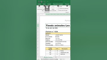 ¡Visualiza tus Datos en Excel a Pantalla Completa Sin Distracciones! #tutorial #excelavanzado