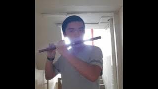 Dae Jang Geum - 大长今(Chinese Flute Cover)