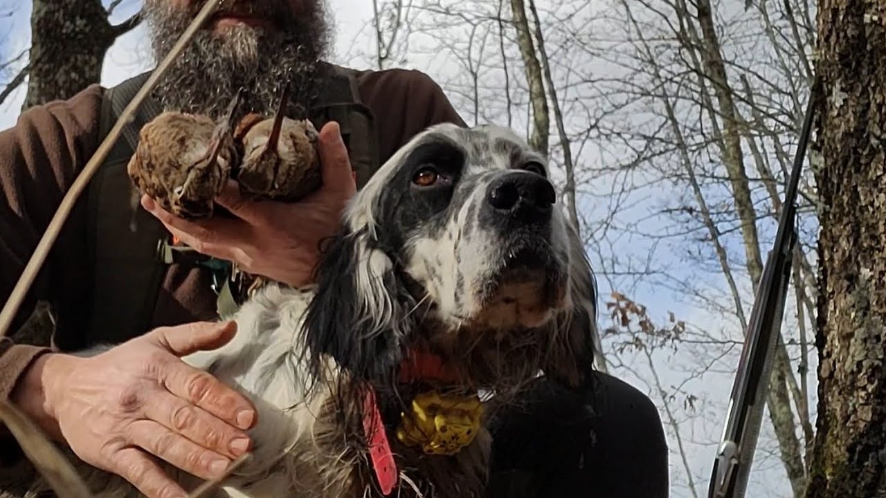 CACCIA ALLA BECCACCIA COL 410