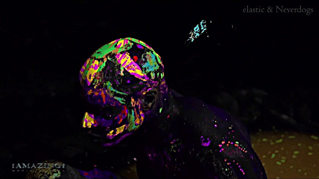 Neverdogs - Moltobeat  VJ mix