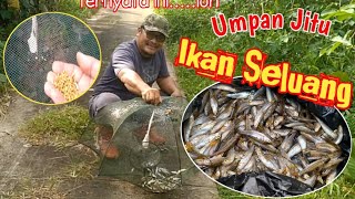 Cara dapat ikan seluang dengan bubu payung