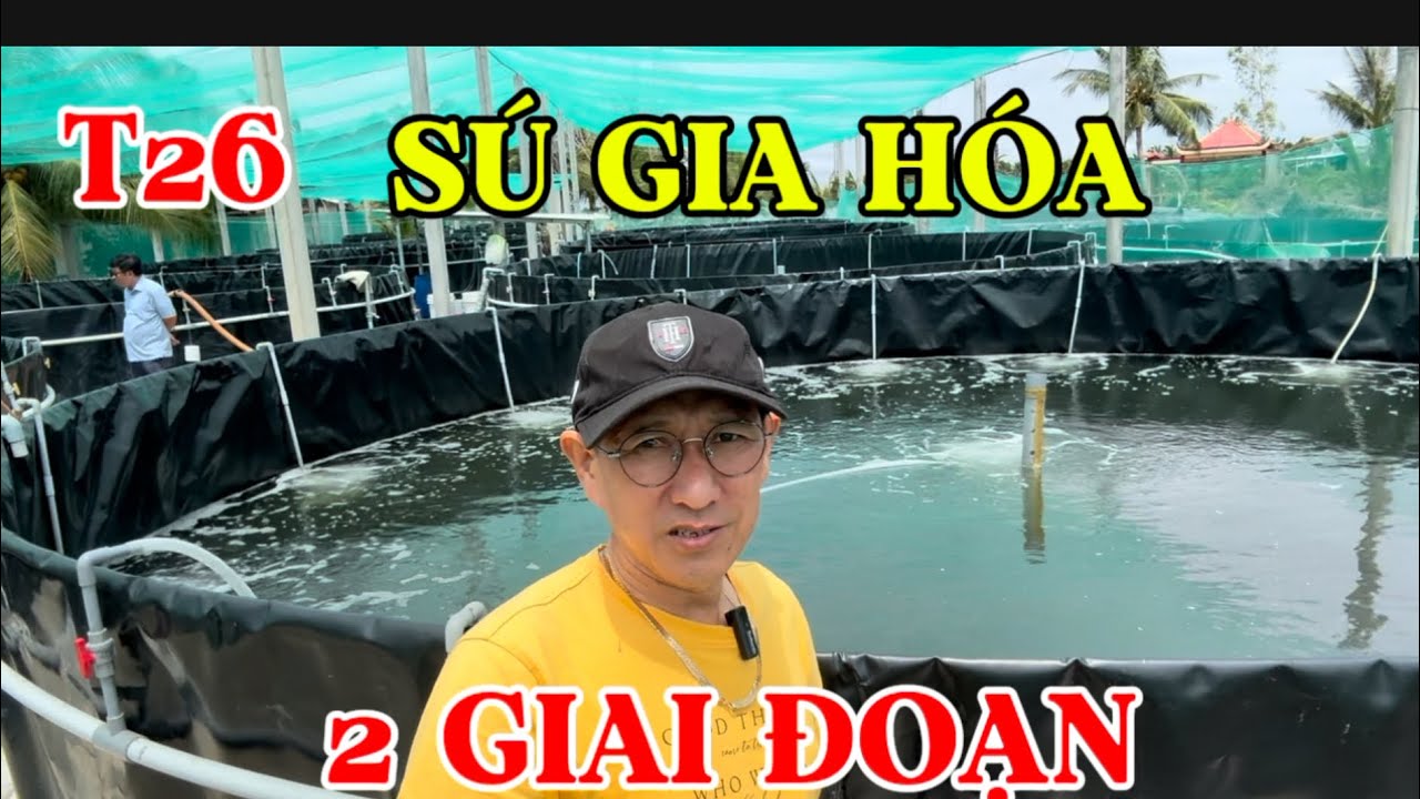 SÚ GIA HÓA 2 GIAI ĐOẠN