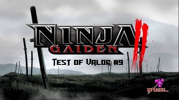 Ninja Gaiden 2 Test of Valor 9 (Master Ninja) (stream excerpt)