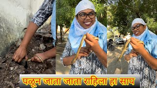 😳सेकेंदामध्ये पकडला गेला हा साप नाहीतर पळून गेला असता😱