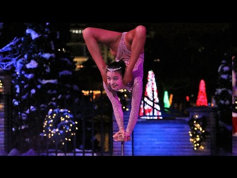 Contortionist / acrobat show at SeaWorld Orlando&#039;s Christmas Celebration