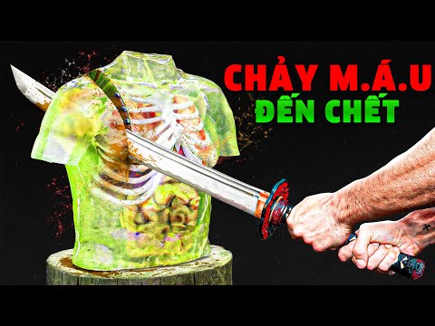 Video: Đặc điểm của sự cộng sinh của các nhóm dân tộc Greco-man rợ ở khu vực Bắc Biển Đen