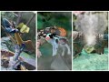 Jurassic world stop motion tests  hammond collection animations