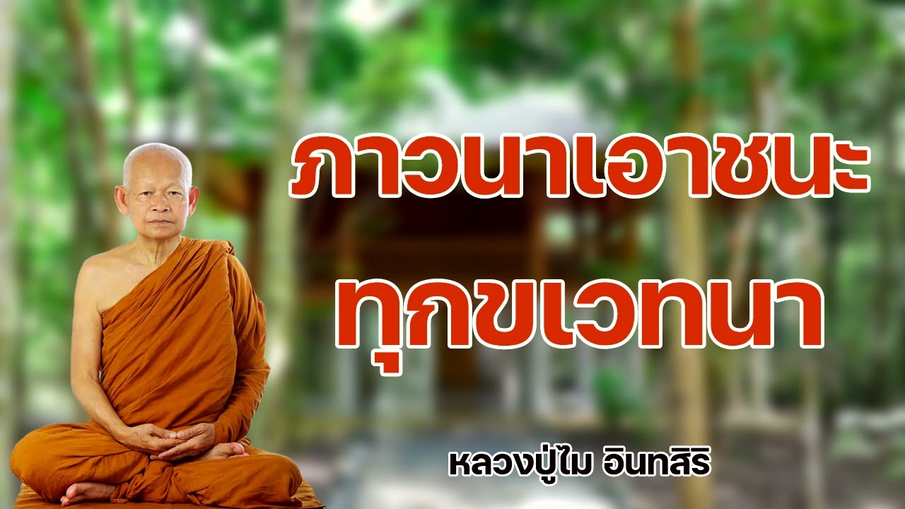 ภาวนาเอาชนะทุกเวทนา หลวงปู่ไม อินทสิริ