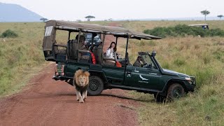 Masai Mara - &BEYOND Bateleur Camp