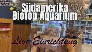 Südamerika Biotop Aquarium - Live Einrichtung mit Ulla & Sascha - Aquaristik Lounge