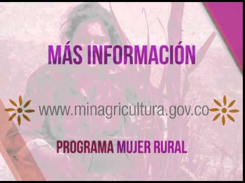 Al dia newspaper coupons